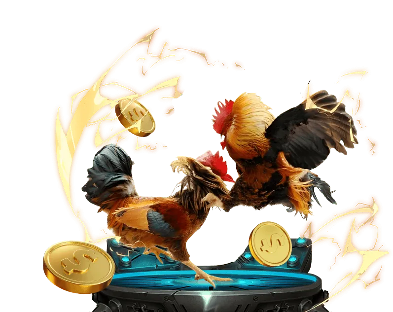 Bí quyết chiến thắng đá gà tại 1win link mới
