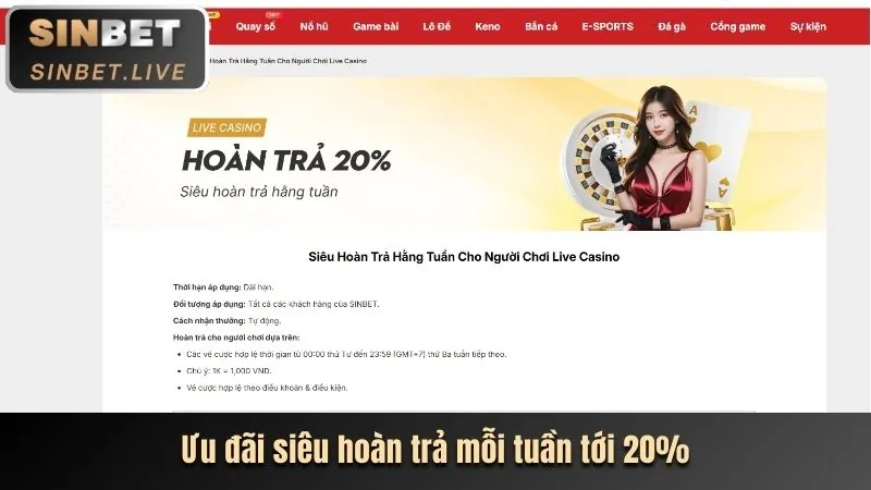 Các chương trình khuyến mãi 1win